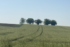 26_FullSizeRender