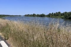 IMG_4580