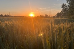 IMG_4851