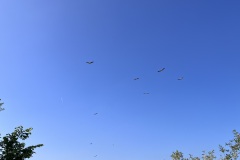IMG_4858