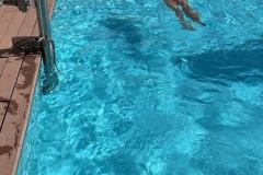 IMG_3862