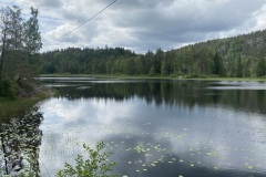 IMG_6909