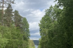 IMG_6917