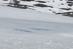 IMG_7397