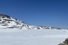 IMG_7398