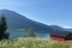 IMG_7456