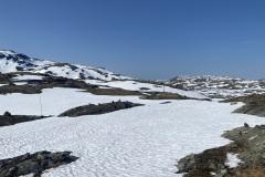 IMG_7518
