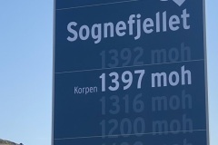 IMG_7520