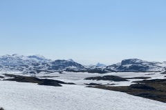 IMG_7522