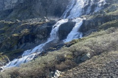 IMG_7556