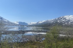 IMG_7582