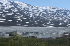 IMG_7584