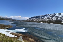 IMG_7591