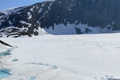 IMG_7602