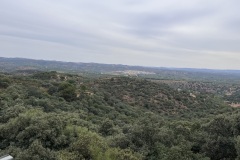 IMG_3903
