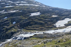 IMG_7691