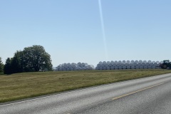 IMG_7714