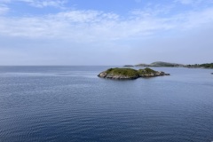 IMG_6295