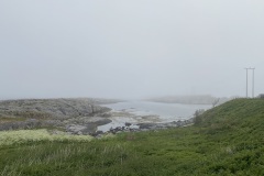 IMG_7786