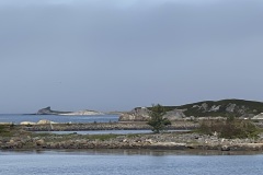 IMG_7816