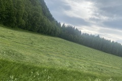 IMG_7869