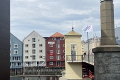 IMG_7881