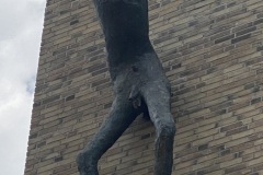 IMG_7893