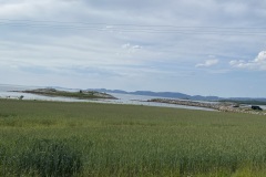IMG_8117