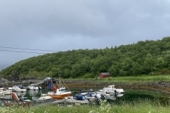 IMG_8185