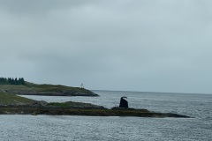 IMG_8192