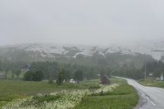 IMG_8308