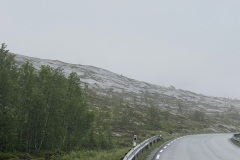 IMG_8311