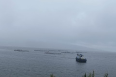 IMG_8312