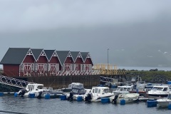 IMG_8317