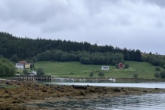 IMG_6831