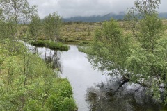 IMG_8358