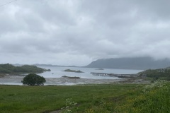 IMG_8375