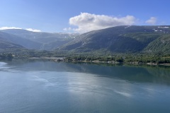 IMG_6950