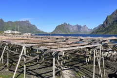 IMG_7103