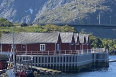 IMG_8705