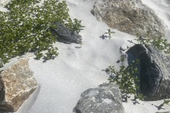 12_FullSizeRender