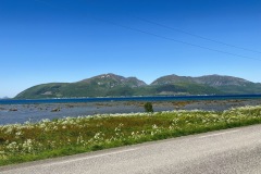 IMG_8826