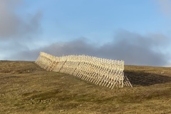 IMG_9374