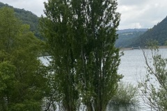 FullSizeRender-22