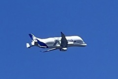 IMG_A5AF953C4E89-1