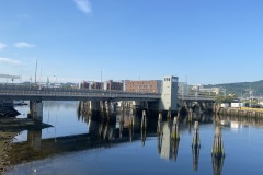 IMG_7916